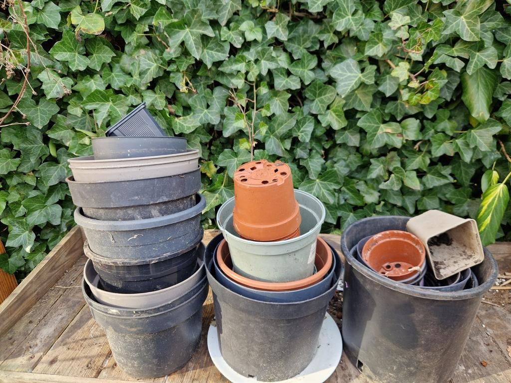 Kweekpotjes, Tuin en Terras, Kweekspullen, Ophalen of Verzenden, Kweekbak