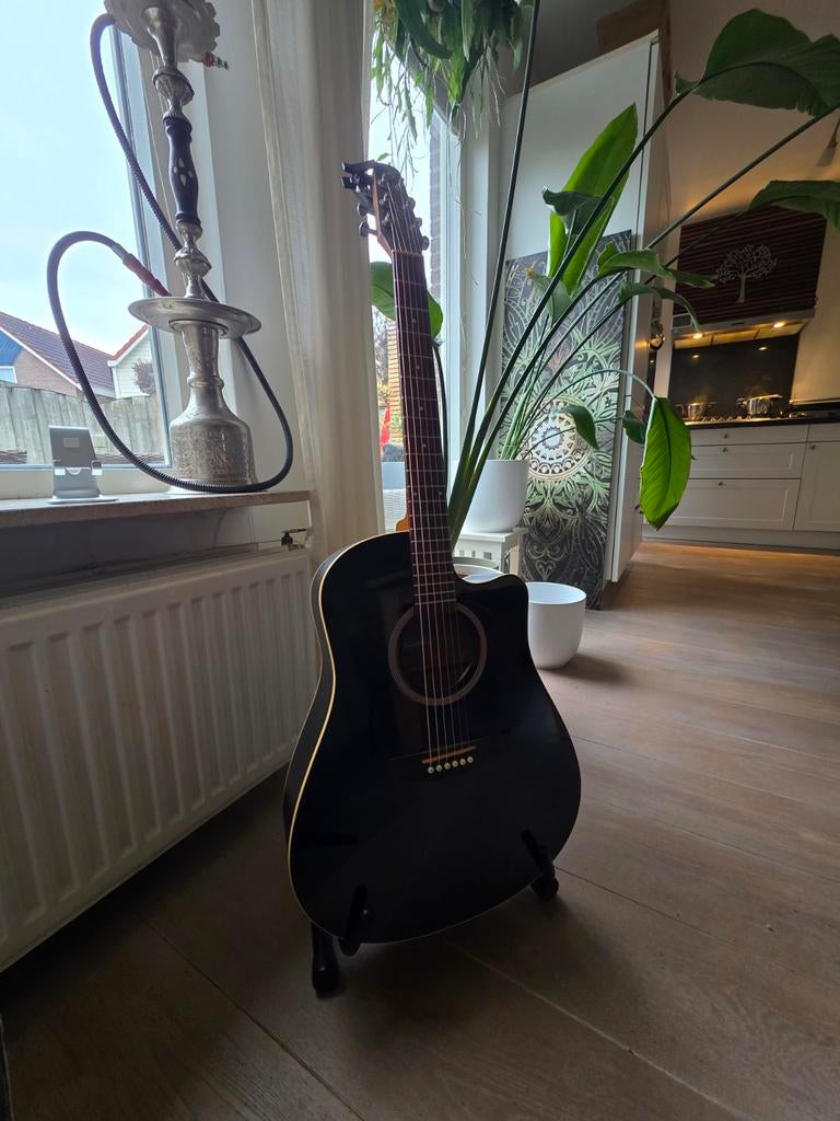 Seagull Edition Speciale LS met originele tas!, Muziek en Instrumenten, Snaarinstrumenten | Gitaren | Akoestisch, Ophalen, Zo goed als nieuw