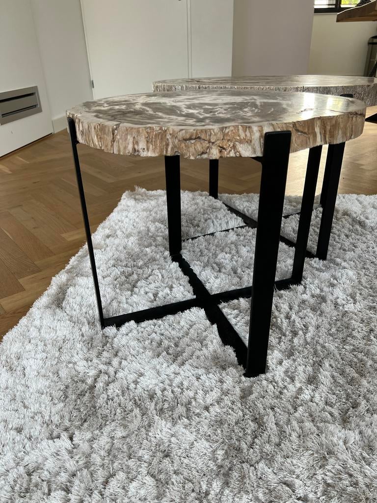 Set van 2 versteende salontafels, Ophalen, Gebruikt, 50 tot 100 cm, Metaal