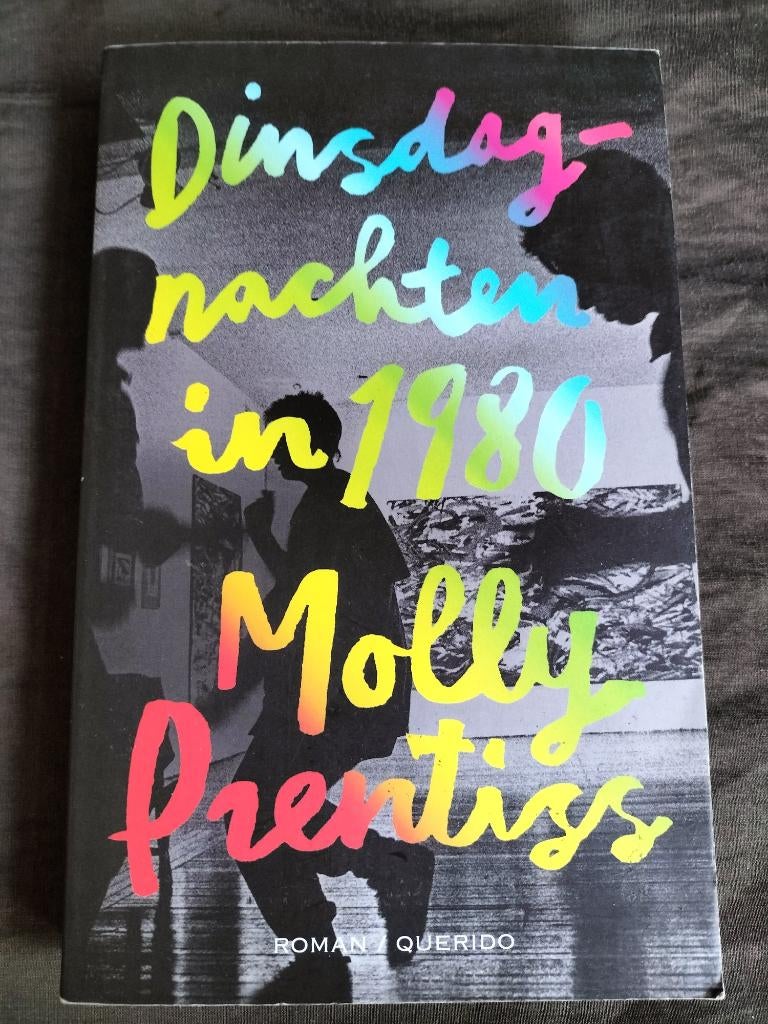 Molly Prentiss - Dinsdagnachten in 1980, Ophalen of Verzenden, Zo goed als nieuw, Molly Prentiss