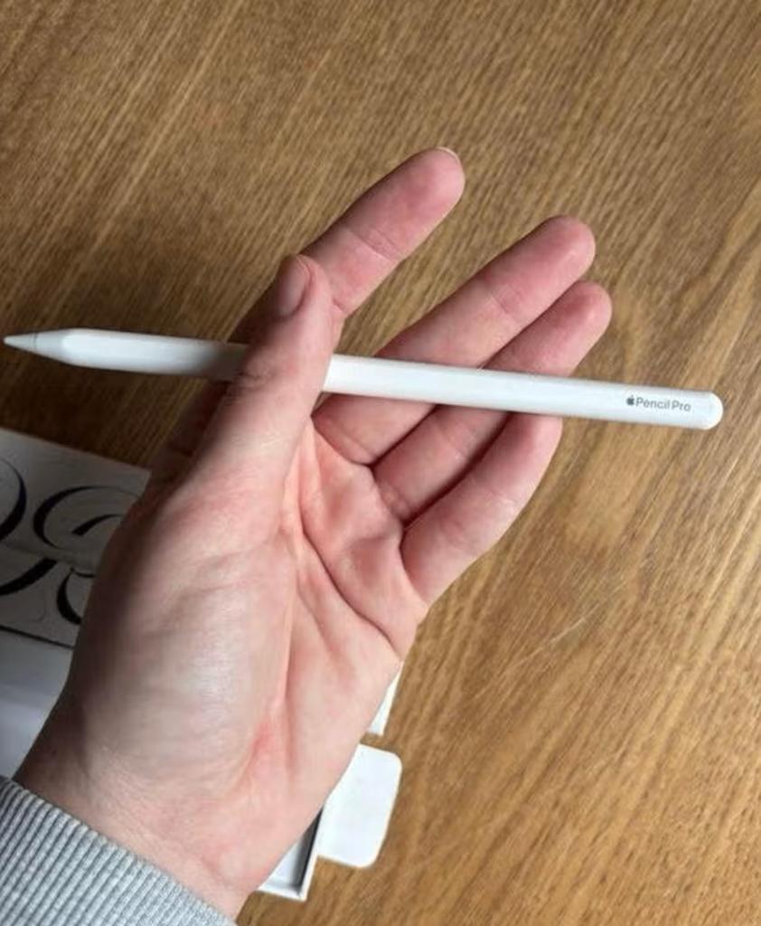 Apple Pencil Pro, Computers en Software, Apple iPads, Wit, Zo goed als nieuw, Apple iPad Pro, 16 GB