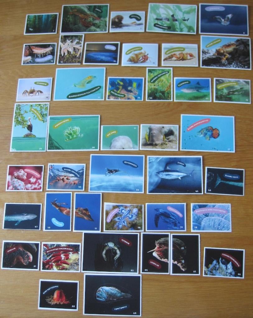 66 verschillende oceaan kaartjes van Albert Heijn - AH, Verzamelen, Supermarktacties, Albert Heijn, Ophalen of Verzenden