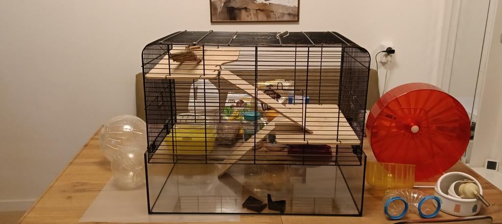 Hamsterkooi met complete hamsterbenodigdheden, Minder dan 60 cm, Kooi, Minder dan 75 cm, Ophalen of Verzenden
