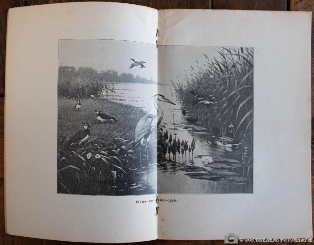          Schoolplaat boekje – Water en weidevogels , Verzenden, Natuur en Biologie