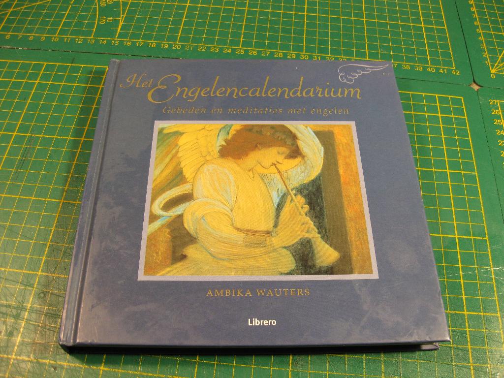 Astrologie en engelen boeken, Astrologie, Overige typen, Ophalen of Verzenden, Zo goed als nieuw