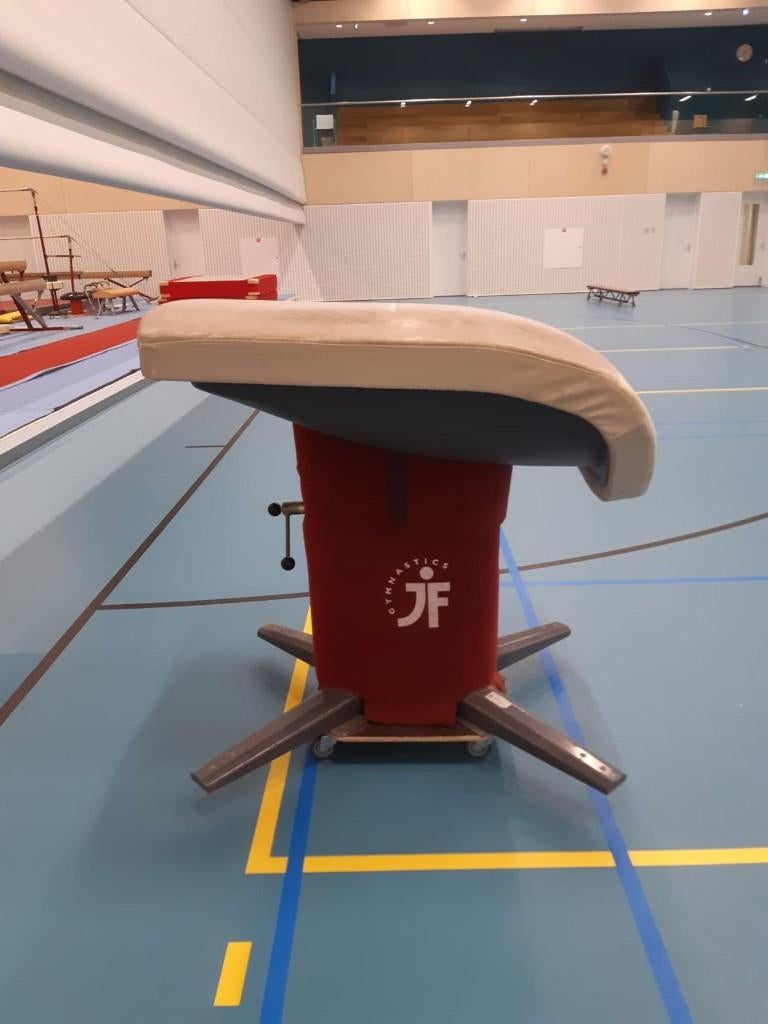 Pegasus springtoestel, Sport en Fitness, Overige Sport en Fitness, Gebruikt, Ophalen