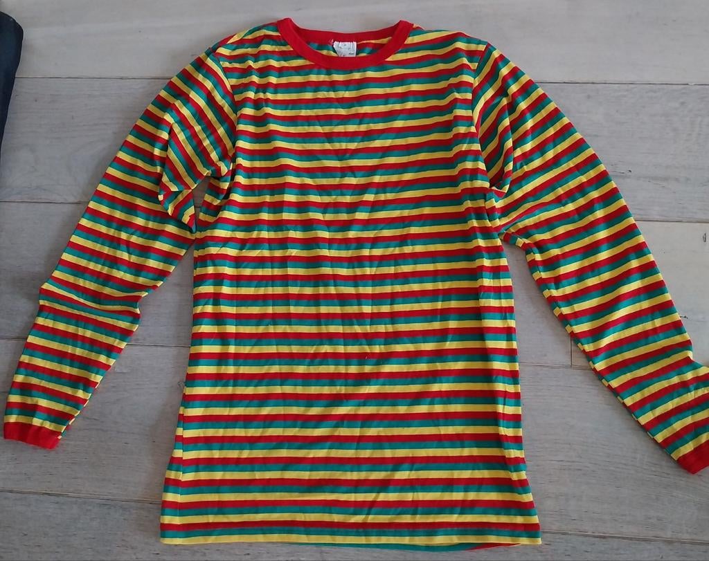 Leuk Carnavalskleding - gestreept groen/geel/rood shirt, Carnaval, Ophalen of Verzenden, Zo goed als nieuw, Kleding