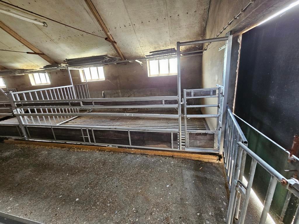 Rvs hokinrichting jongvee witvlees kalverstal