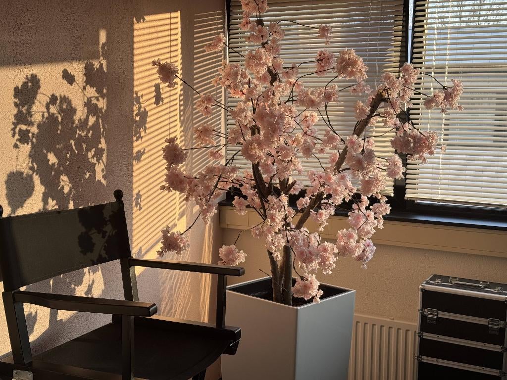 Ontspanningmassage Almere Stad - maandag 6 april, Diensten en Vakmensen, Welzijn | Masseurs en Massagesalons, Ontspanningsmassage