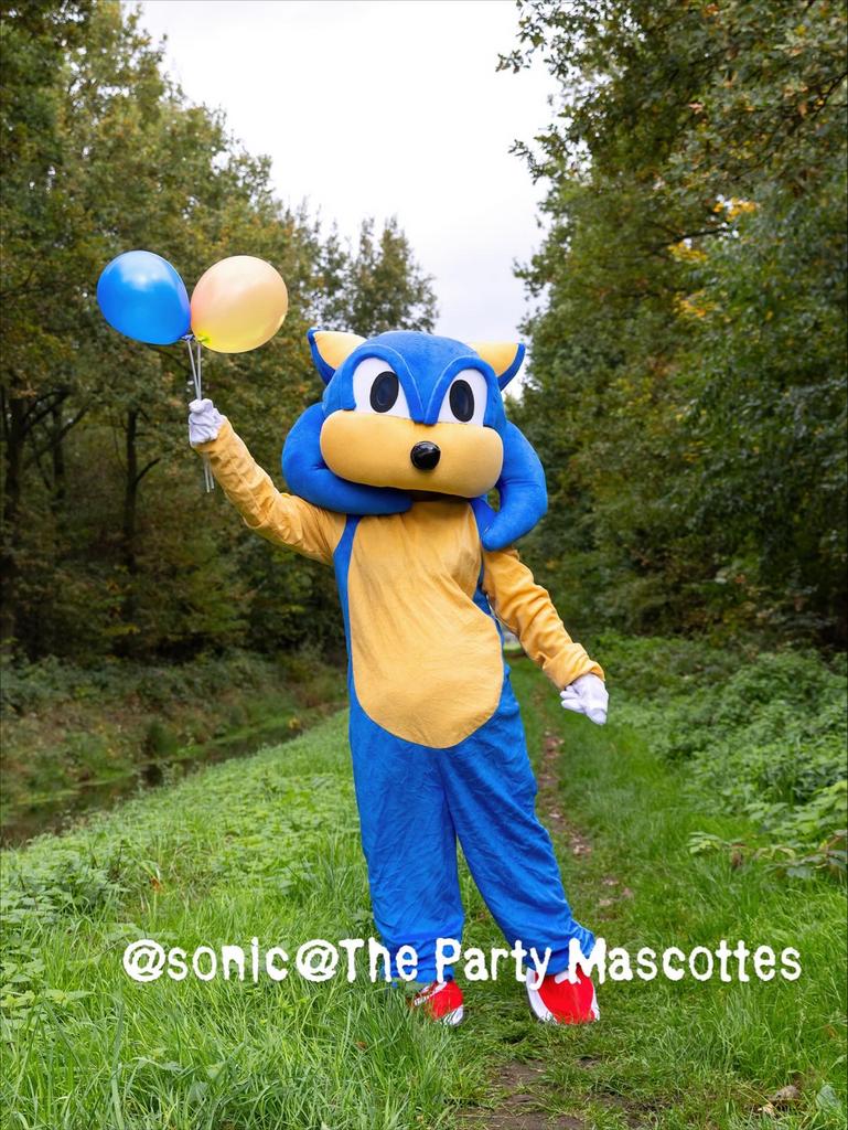 Sonic Mascotte Huren voor Feest/Evenement!, Ophalen of Verzenden, Zo goed als nieuw, 170 of groter, Jongen of Meisje