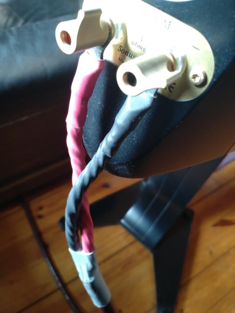 Cardas Luidsprekerkabels - 2.5/3m - Stabiel Geluid, Audio, Tv en Foto, Audiokabels en Televisiekabels, Gebruikt, Luidsprekerkabel