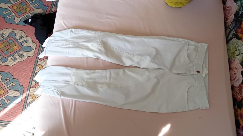Wedstrijd paardrijbroek maat 36, Dieren en Toebehoren, Gebruikt, Overige soorten, Dames, Onderkleding