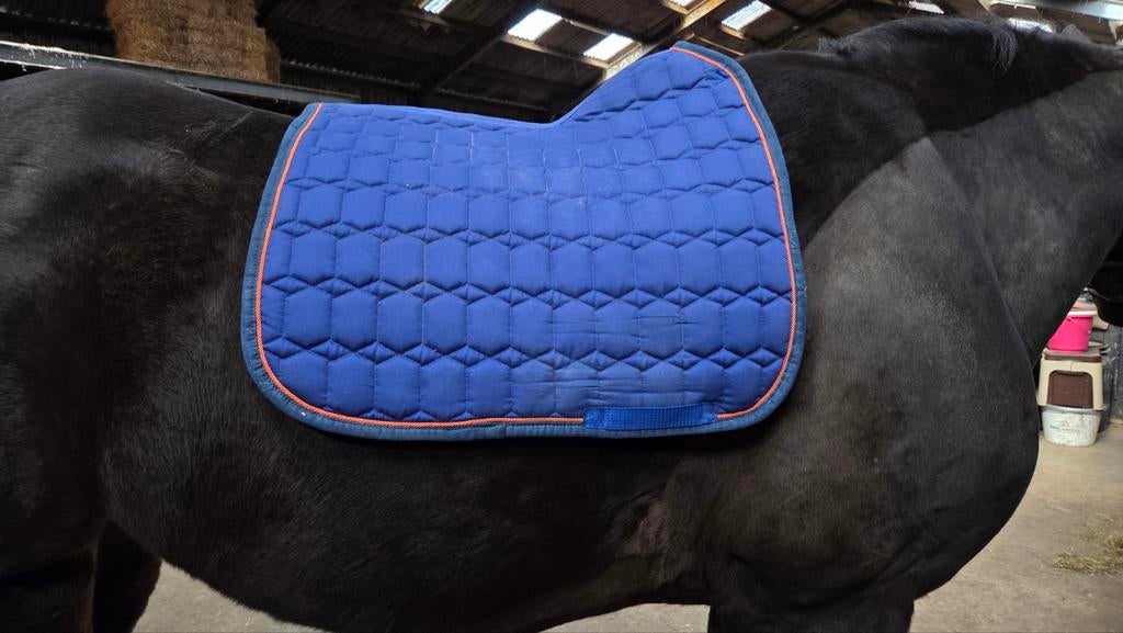 QHP Cross !zgan! zadeldek full dressuur katoen, Dieren en Toebehoren, Ophalen of Verzenden, Zo goed als nieuw, Dekje