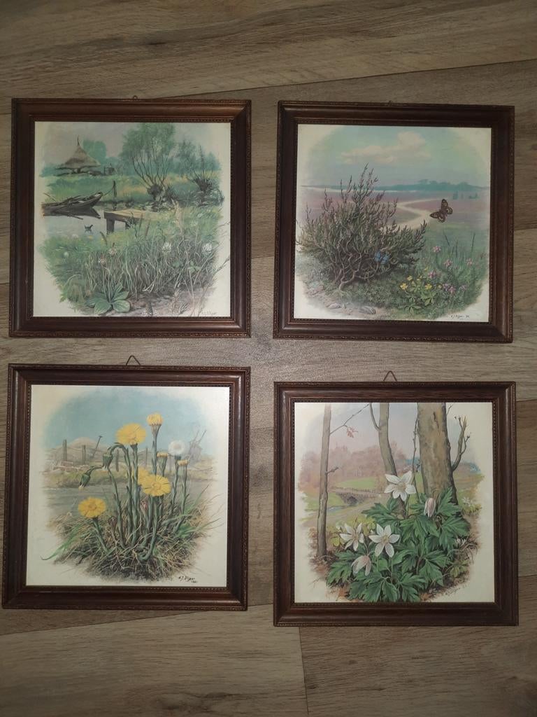 Vier ingelijste natuurprints, Ophalen of Verzenden