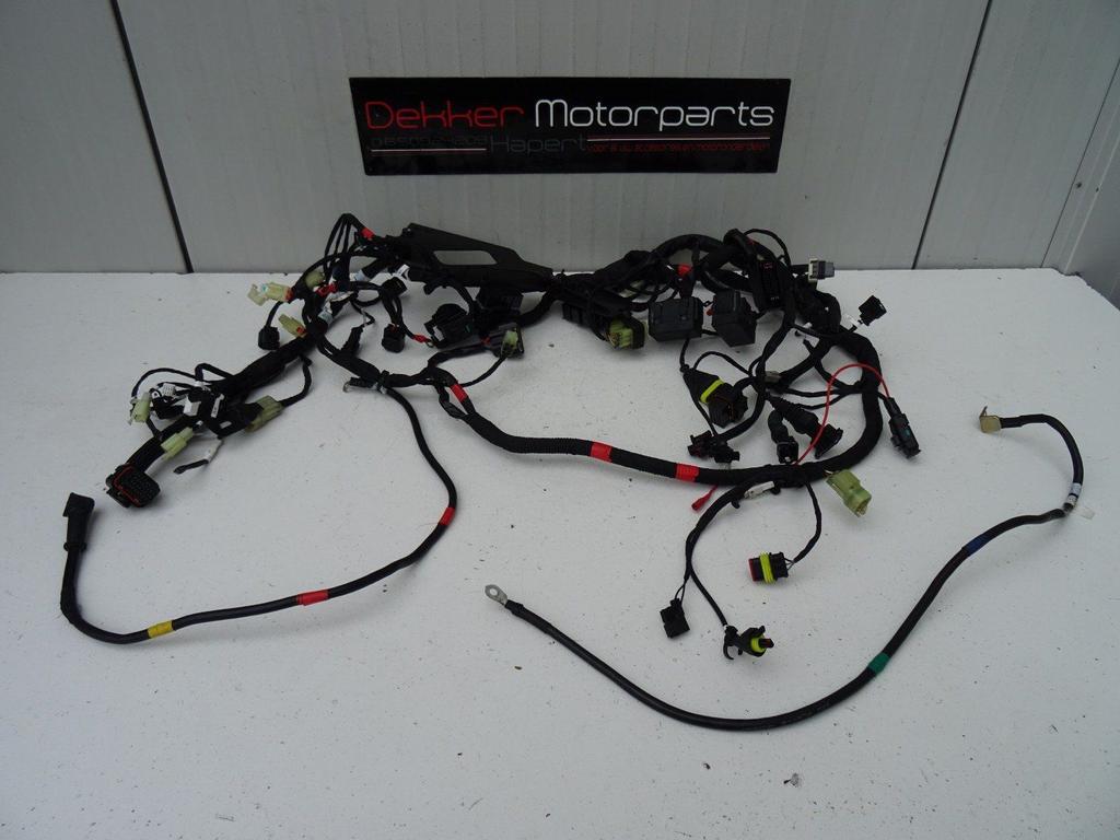 Kabelboom / Wire Harness Ducati Monster 821 2018-2019-2020, Gebruikt, -, -, Ophalen of Verzenden