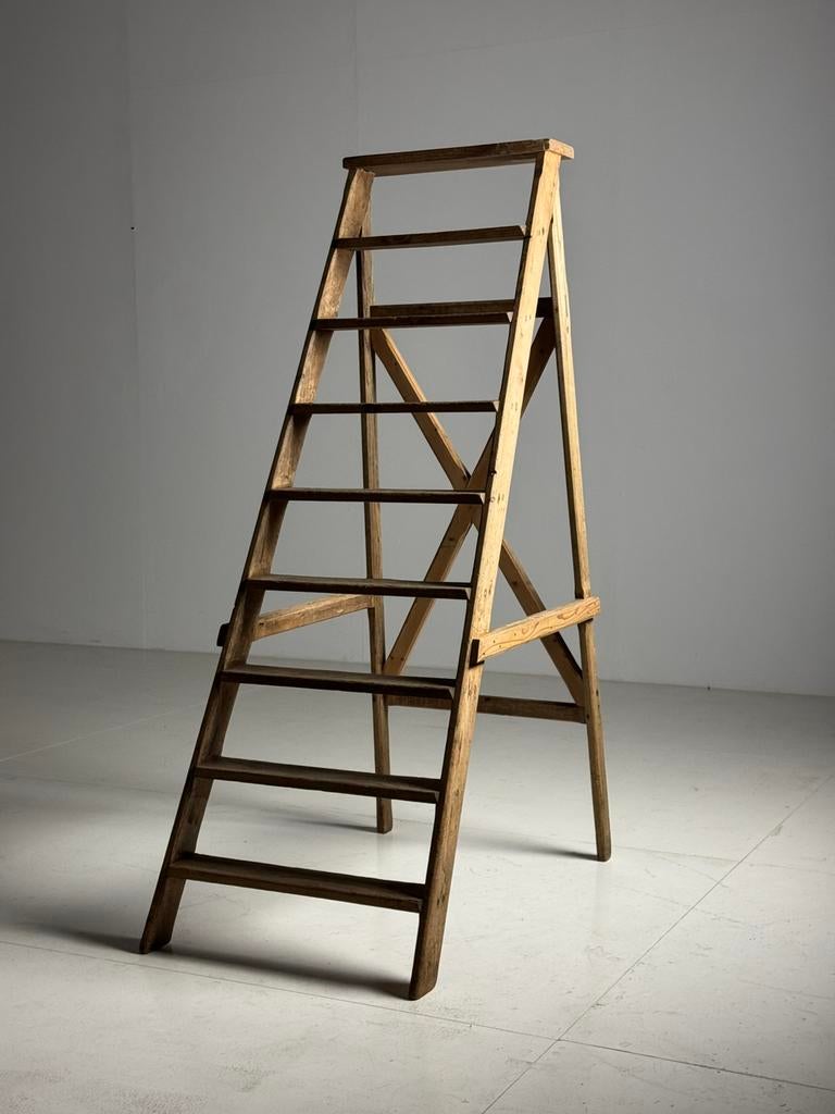 Bibliotheektrap grenen antiek