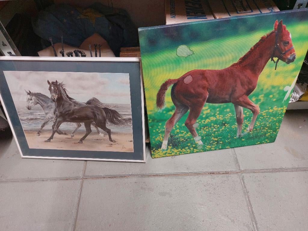 2 schilderyen met paard erop, Tuin en Terras, Ophalen of Verzenden, Zo goed als nieuw
