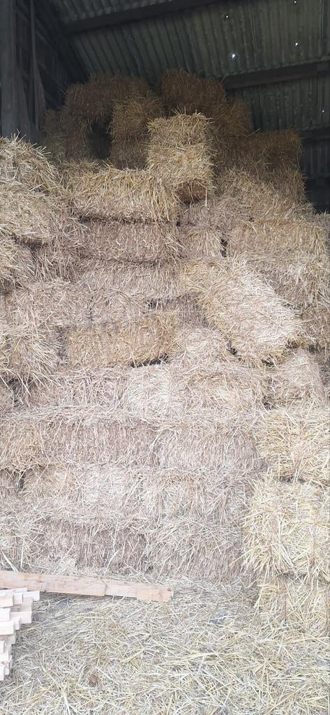 Tarwe stro in kleine pakjes oogst 2025, Ophalen