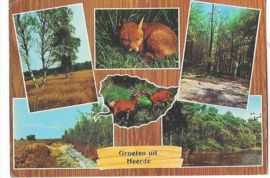 Heerde, Ophalen of Verzenden, 1980 tot heden, Gelopen, Gelderland