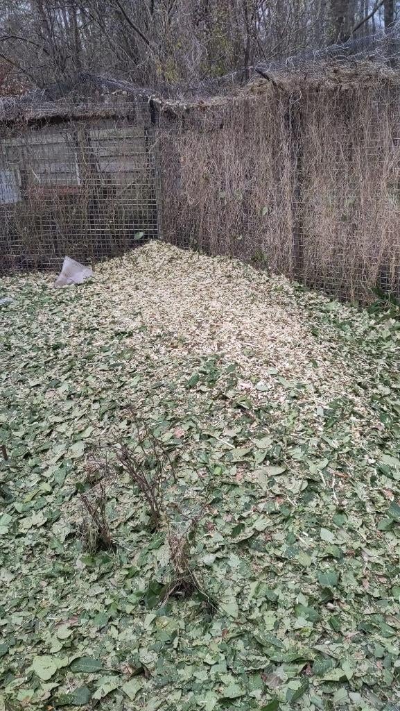 Houtsnippers, Ophalen, Boomschors