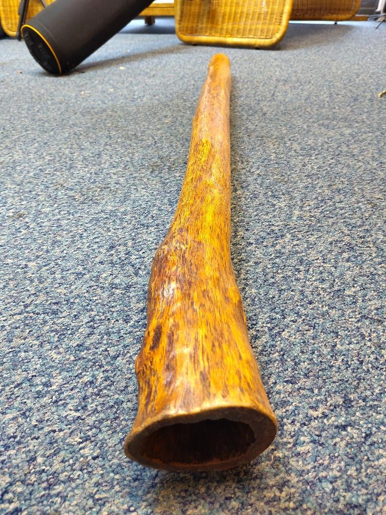 Toffe Eucalyptus didgeridoo D / G#, Ophalen, Gebruikt