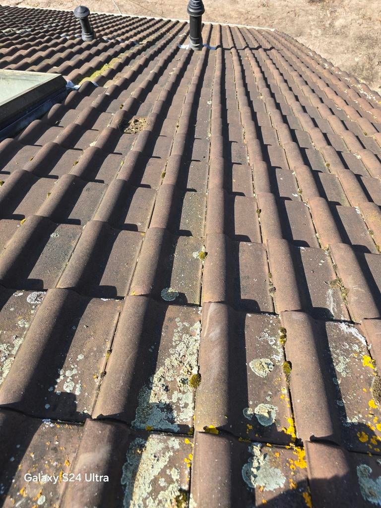 Gebruikte dakpannen en nokvorsten, Gebruikt, Steen of Klei, Ophalen of Verzenden, 15 m² of meer