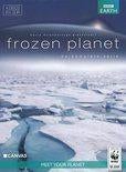 Attenborough Frozen planet  dvd 4 discs 2,45, Alle leeftijden, Ophalen of Verzenden, Zo goed als nieuw, Natuur