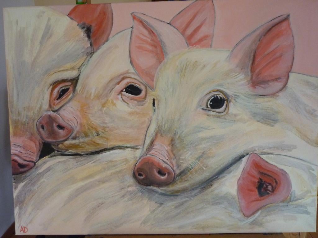 Varkens, biggen, Ophalen of Verzenden