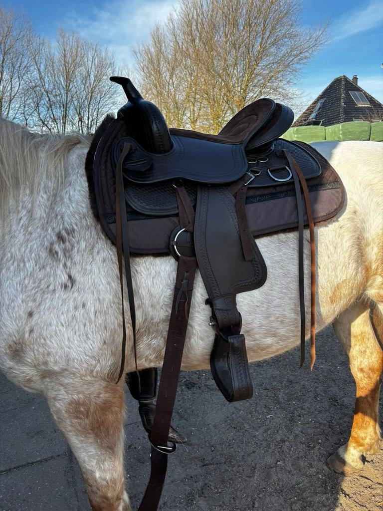 Edix Santos western, boomloos, Ophalen of Verzenden, Zo goed als nieuw, Western