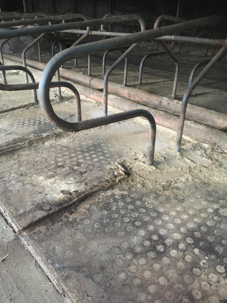 Waterbakken, vijzel, voerbak, mayo koematras, roldeur, mest, Dieren en Toebehoren, Meerdere dieren