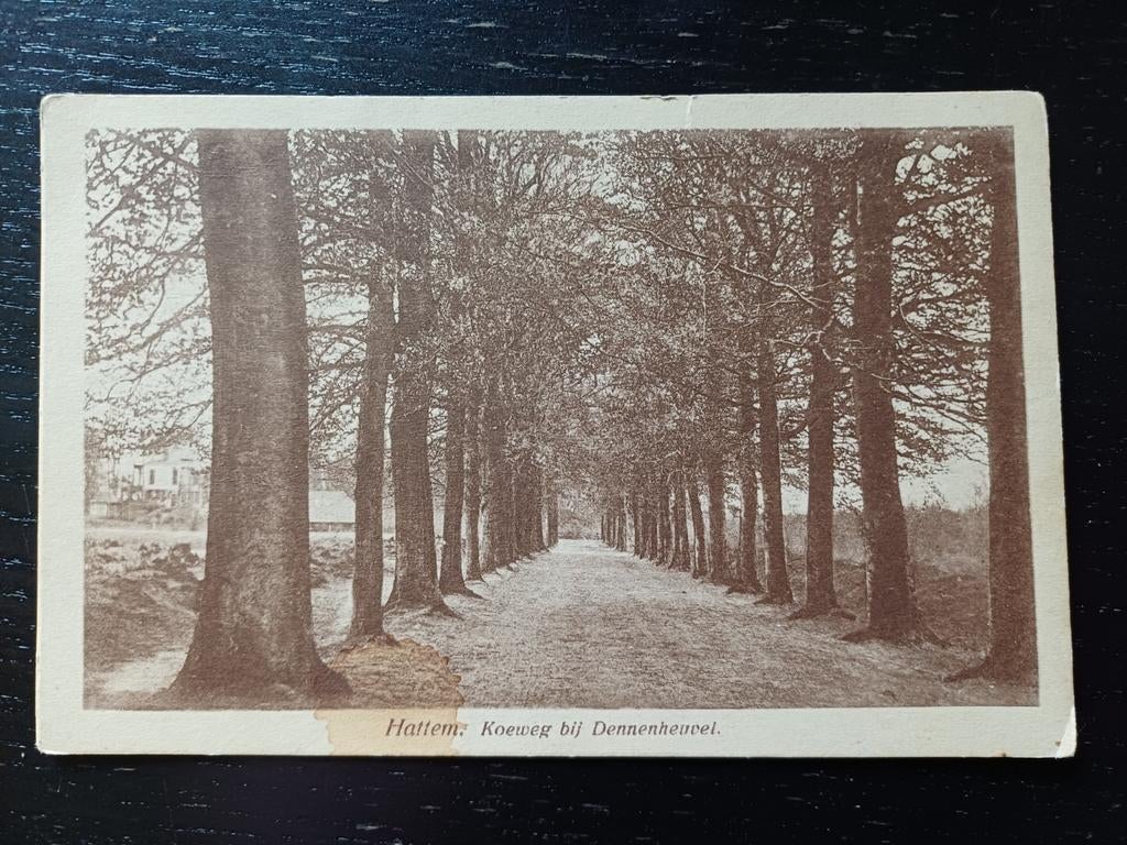 Hattem ..., Ophalen of Verzenden, Voor 1920, Gelderland