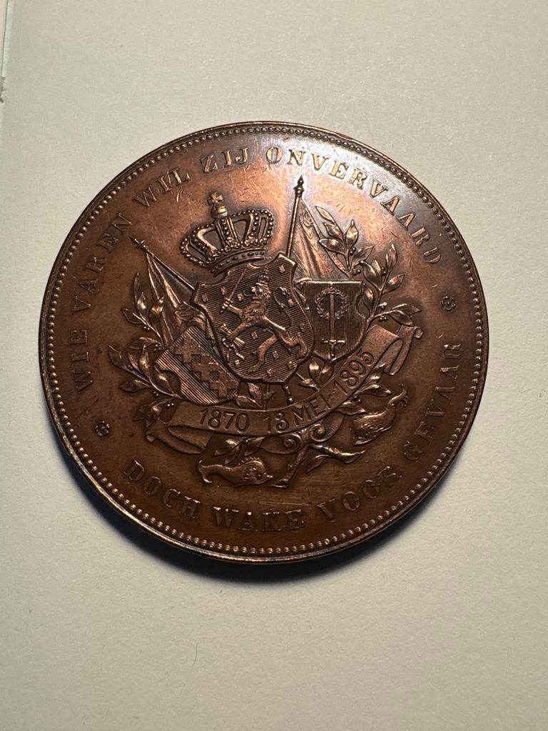 Historische Medaille: Koning Willem III & Prins Hendrik, Postzegels en Munten, Ophalen of Verzenden, Brons, Nederland