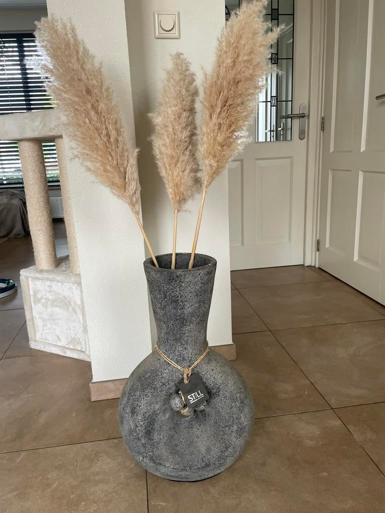 Te koop mooie vaas met pluimen, Ophalen, Zo goed als nieuw