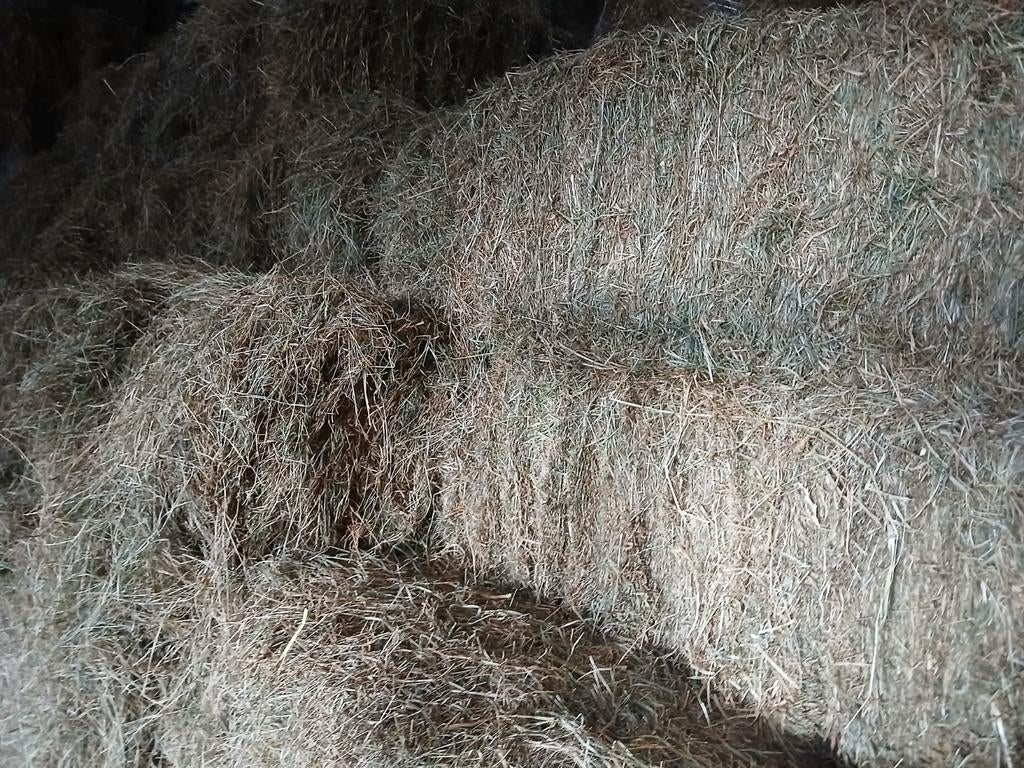 Hooi pakken 2e snee 2025., Ophalen of Verzenden, Vee