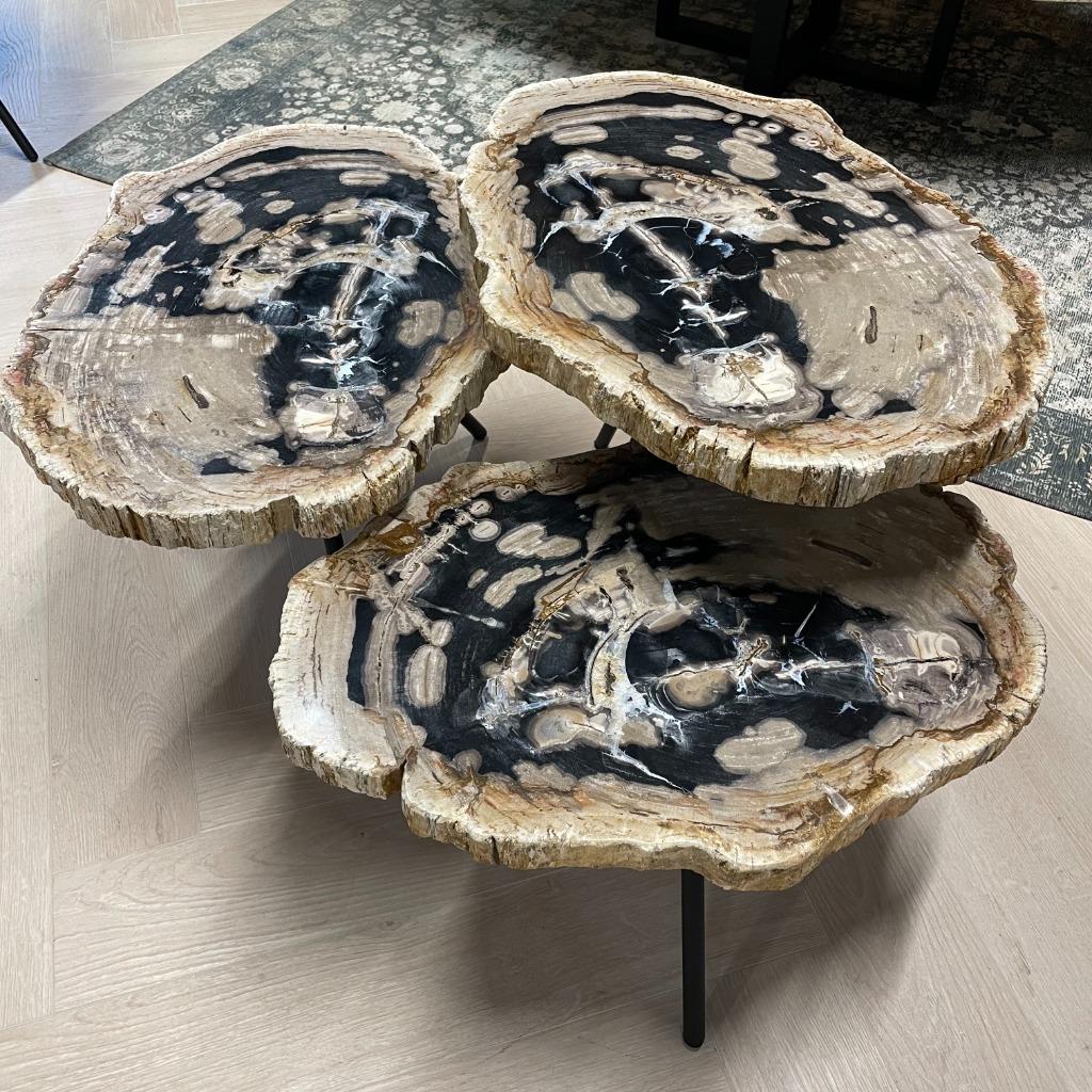 Versteend Hout Salontafels - Munker interiors, Huis en Inrichting, Tafels | Salontafels, Ophalen, Nieuw, 50 tot 100 cm, Minder dan 50 cm