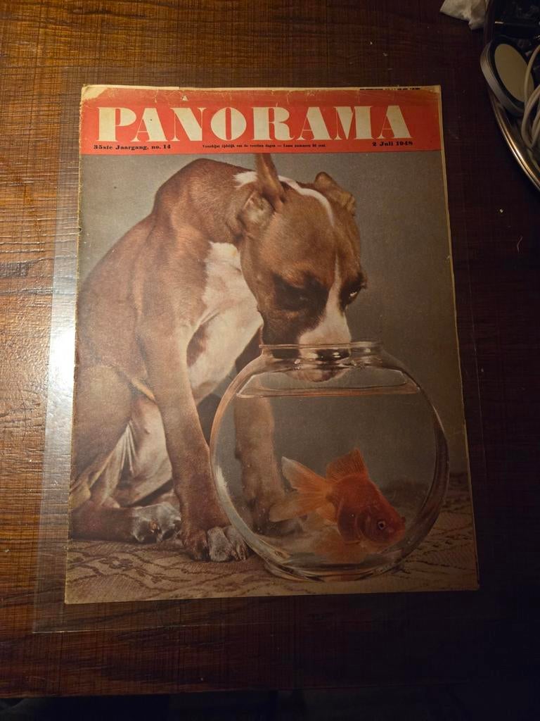 Panorama 2 Juli 1948 - Hond en Goudvis Cover, Ophalen of Verzenden, Gelezen, Overige typen