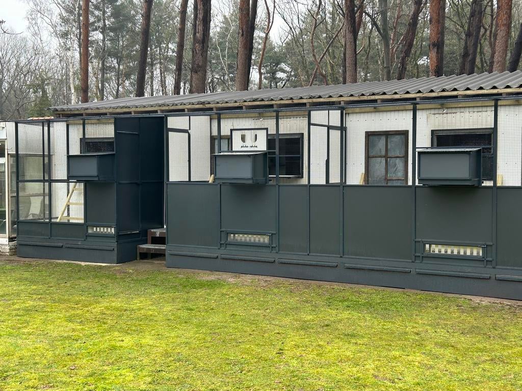 Duiven kooien en spoednik’ s op maat gemaakt, Dieren en Toebehoren, Vogels | Duiven, Meerdere dieren, Postduif
