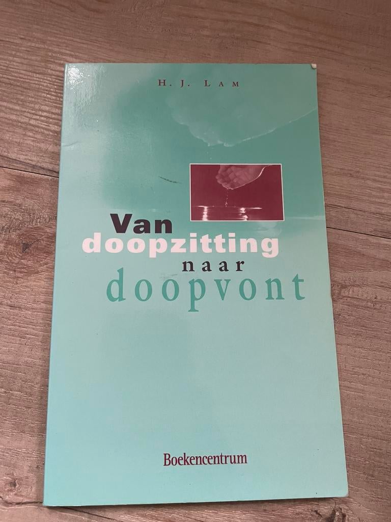 H.J. Lam - Van doopzitting naar doopvont, Ophalen of Verzenden, Zo goed als nieuw, H.J. Lam