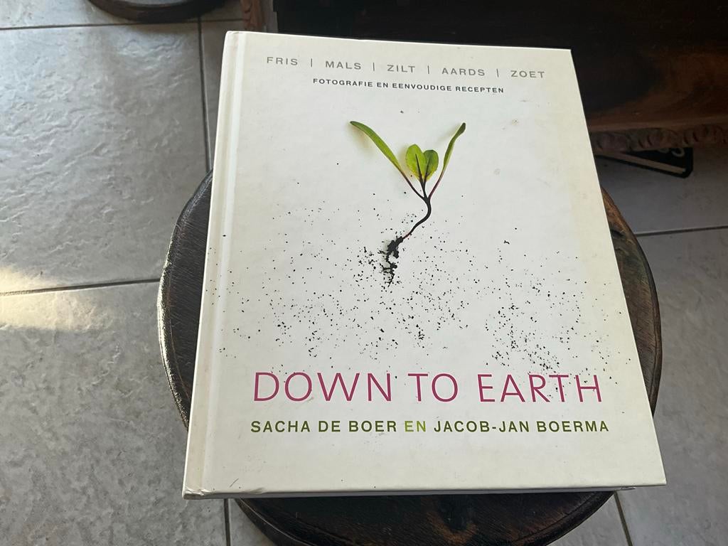 Down to Earth - Sacha de Boer & Jacob-Jan Boerma, Gelezen, Hoofdgerechten, Ophalen of Verzenden, Europa