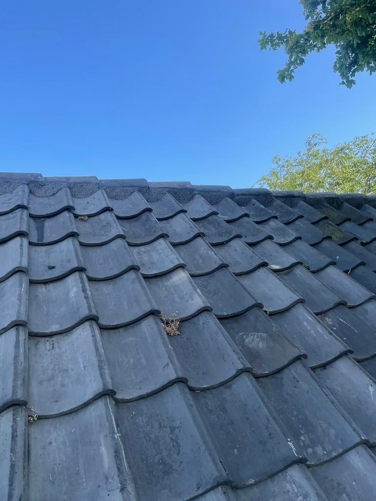 Gezocht hulp dakdekker, Diensten en Vakmensen, Dakdekkers en Rietdekkers