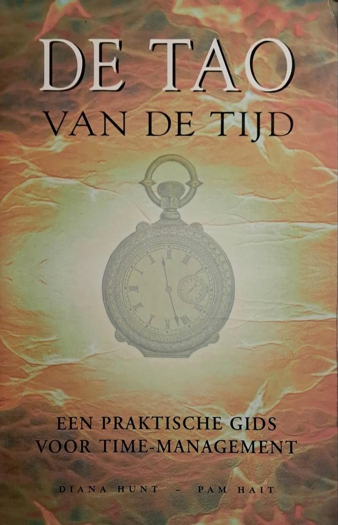 Boek 'DE TAO VAN DE TIJD', Achtergrond en Informatie, Spiritualiteit algemeen, Verzenden, Zo goed als nieuw