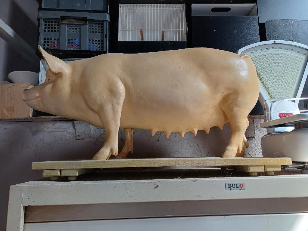 Anatomisch varken, Antiek en Kunst, Ophalen