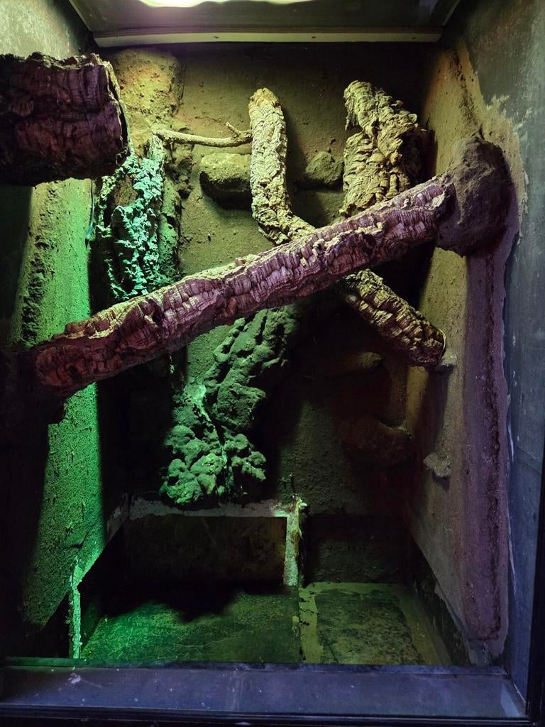 Betonplex Terrarium 70x120x60 (b x h x d) cm, Dieren en Toebehoren, Reptielen en Amfibieën | Toebehoren, Ophalen, Gebruikt, Terrarium of Paludarium