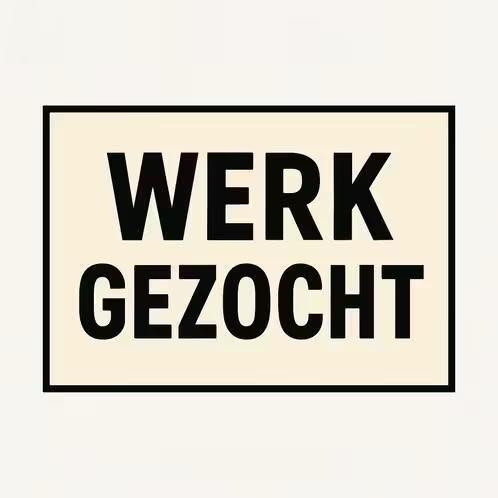 Klusjes gezocht Gouda, Overige niveaus, Vanaf 10 jaar, Overige vormen