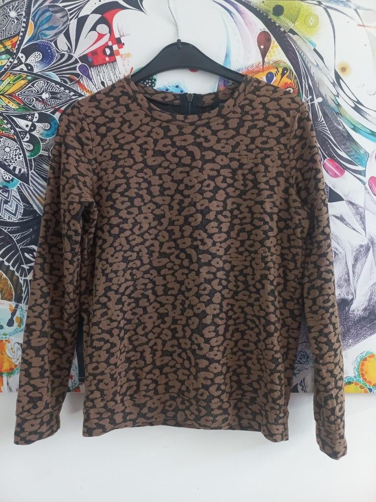 Mooi truitje van Claudia Sträter maat 34, Bruin, Ophalen of Verzenden, Zo goed als nieuw, Claudia Sträter