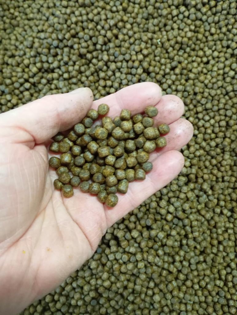 High growth koivoer 6 mm, Ophalen of Verzenden, Nieuw