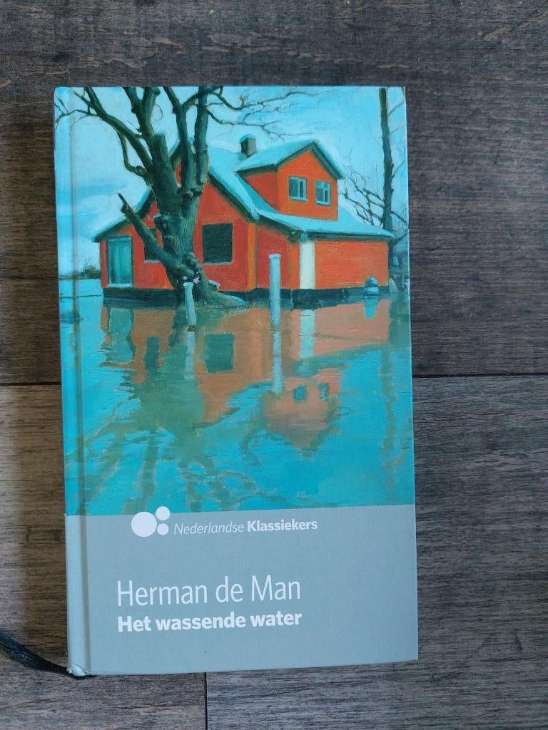 Herman de Man - Het wassende water - Hardcover, Boeken, Romans, Zo goed als nieuw, Ophalen of Verzenden