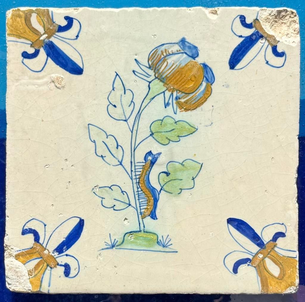 Top tegel pioenroos met rups op de stam, Ophalen of Verzenden