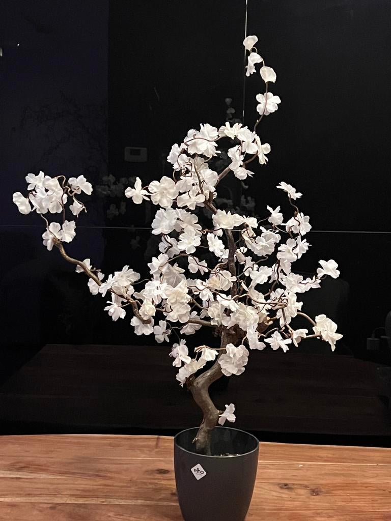 Kunst bloesemboom - Kunstboom wit - New, Huis en Inrichting, Woonaccessoires | Kunstplanten en Kunstbloemen, Binnen, Nieuw, Ophalen of Verzenden