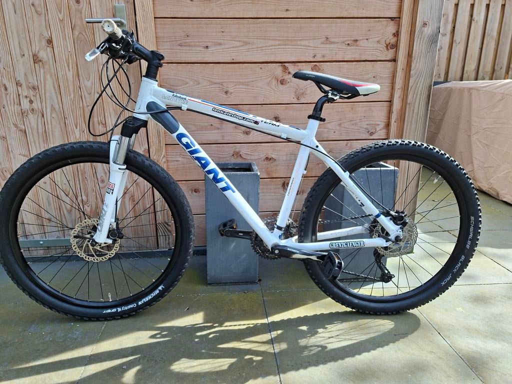 Giant Terrago Mountainbike - Wit/Blauw, Ophalen, Gebruikt, Hardtail, Heren